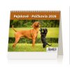 Stolní kalendář MiniMax Pejskové/Psíčkovia 2026 171x139(25)mm SM13-26