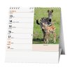 Stolní kalendář - IDEÁL týdenní  IDEÁL - Zvířátka celého světa BSJ6-26
