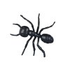 Mravenec plast 5cm 12ks černý 1042556