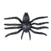 Pavouk plast 6cm 6pcs černý 1042557