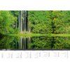 N115 27 009