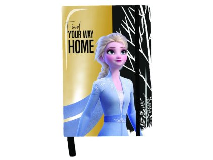 Paso Lesklý zápisník Frozen DOI-3685