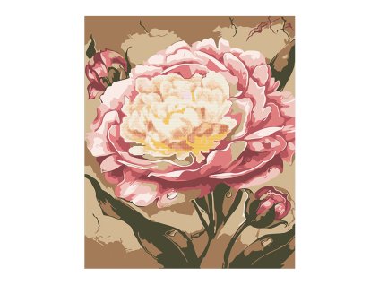 Centrum Diamantové malování Peony 40 x 50 cm 2v1