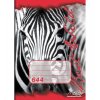 644 notes zebra