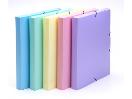 Box na spisy A4 s gumou PASTELINI - fialová