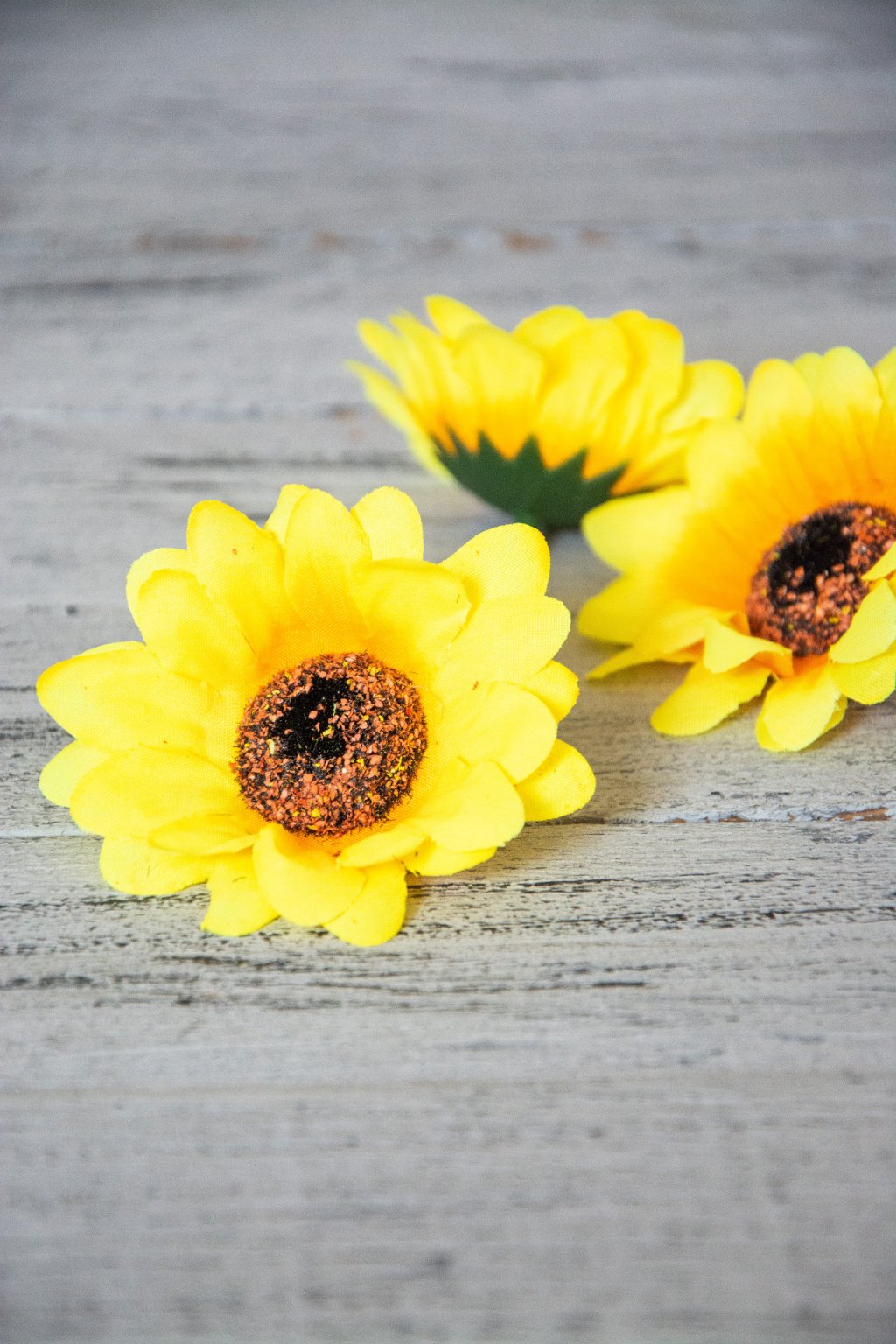 Květ slunečnice.  Průměr 7,5 cm.