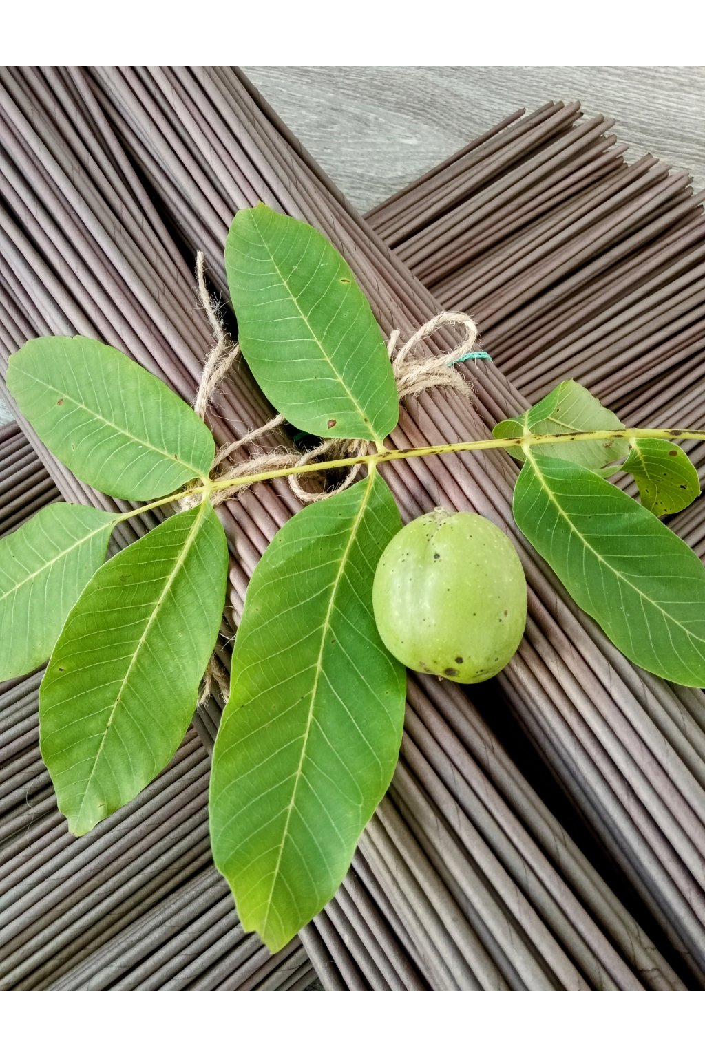 RULIČKY NA PAPÍROVÉ PLETENÍ BARVA TMAVÝ ORECH CHE VAS I