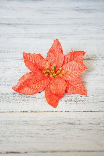 Vánoční hvězda s lurexovým třpytem.   Průměr květu 14 cm.