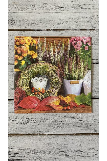 07FD39E1 A937 47F5 A1B4 3018E93C796C