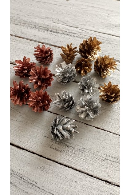 Barevné šišky na další tvoření, vánoce, dušičky, bílé šišky, zlaté šišky, stříbrné šišky