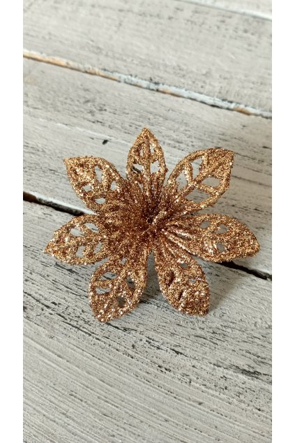 Vánoční hvězda měděná