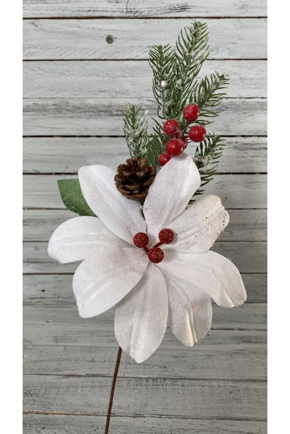 Větvička s bílou vánoční hvězdou, chvojím, šiškou a červenými plody.  Délka 54 cm.DD8BC2D3 9D27 4863 8240 498297B3DFF8
