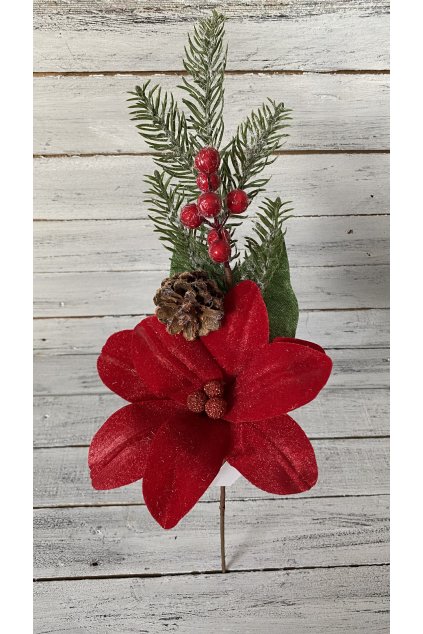 C100CBC4 260A 436E 9354 12AFE2443028