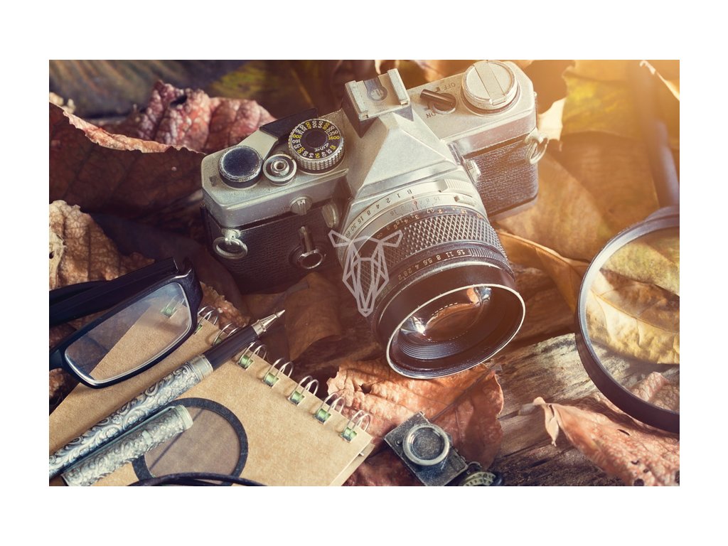 Vintage camera