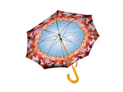 Deštník In vogelvlucht, Judith Stam - Bekking & Blitz