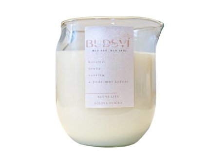 Sójová svíčka ve skle-podzim 200g