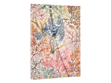 2026 Paperblanks diář  12 / Anemone / Midi / Horizontal