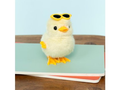 Plyšová natahovací hračka kačenka Rex London