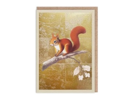 Přání Ohh Deer Red Squirell