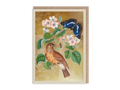 Přání Ohh Deer Wren