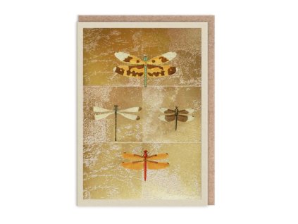 Přání Ohh Deer Dragonflies