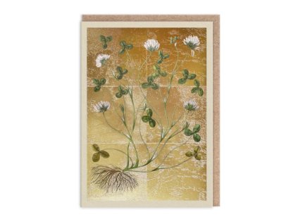 Přání Ohh Deer Clover