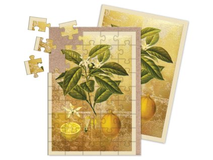 Přání Ohh Deer puzzle Lemons