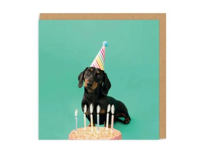 Přání Ohh Deer Scout Party Hat