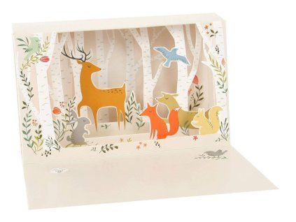 Přání Delighted Shadows Box Forest Animals