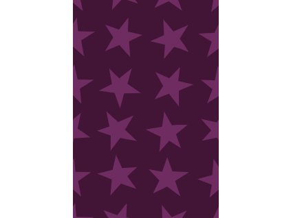 Dárkový papír role 70x150cm, Magic Metallic-5 designů