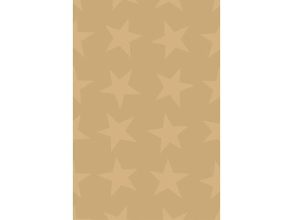 Dárkový papír role 70x150cm, Zářivá hvězda