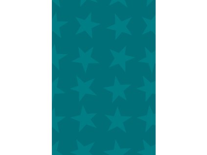 Dárkový papír role 70x150cm, Zářivá hvězda