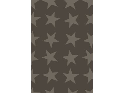 Dárkový papír role 70x150cm, Zářivá hvězda