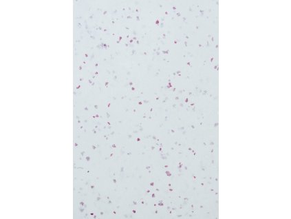 Ruční papír arch 50x70cm, Růžový kámen