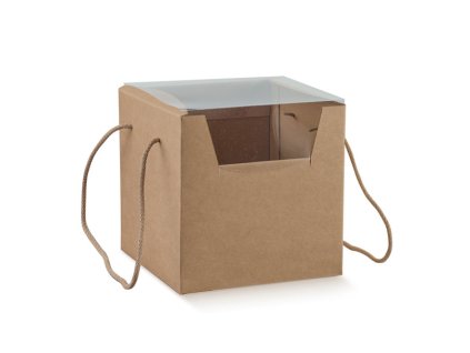 Skládací krabice s průhlednými 2 stranami 21x21x21cm, AVANA