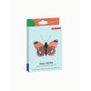 Delias Butterfly packaging
