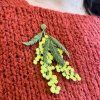 Vyšívaná brož Botanopia - Mimosa