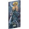 NOTIQUE Kapesní diář Alfons Mucha 2026, plánovací měsíční, 8 x 18 cm