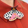 Vyšívaná brož Botanopia Tiger Moth