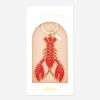 Brož Lobster