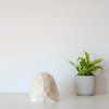 Papírová Lampa Želva (cotton white)