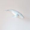 Papírová Lampa Humpback whale (Cotton white)
