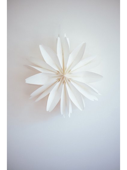 DIY papírová květina - bílá recycled
