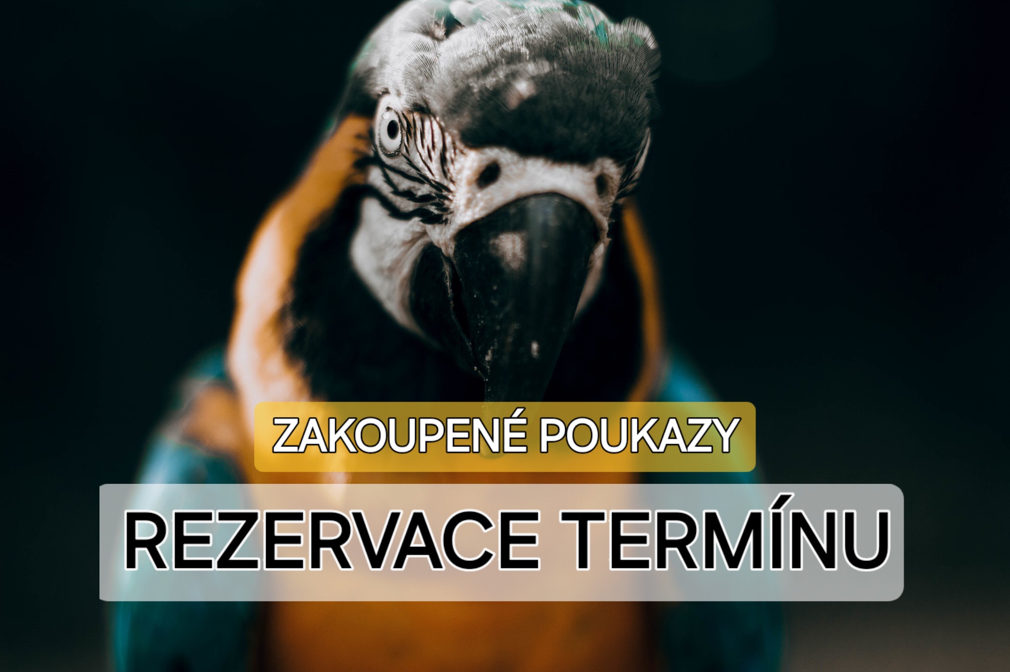 Vaše rezervace