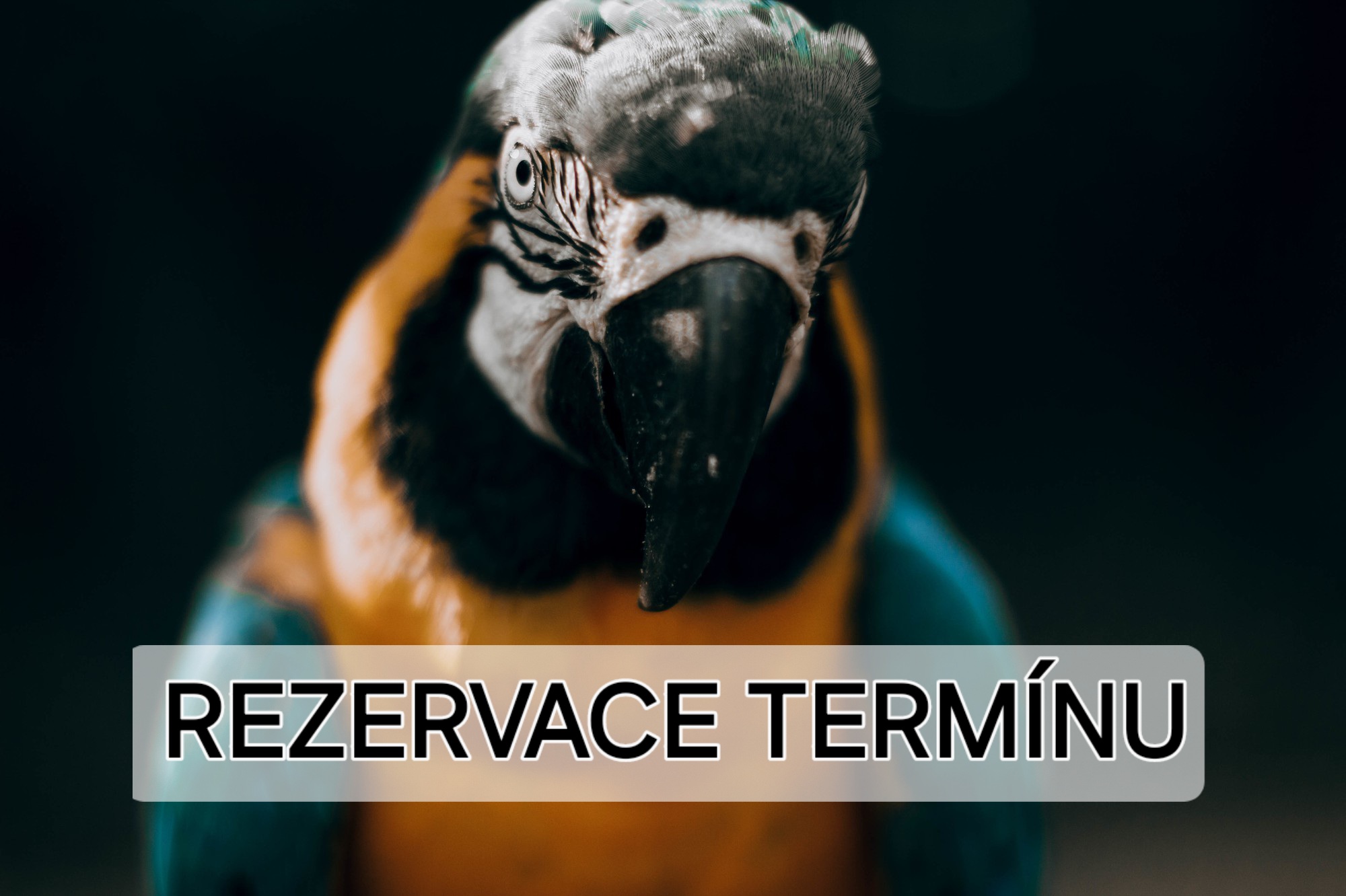 Vaše rezervace