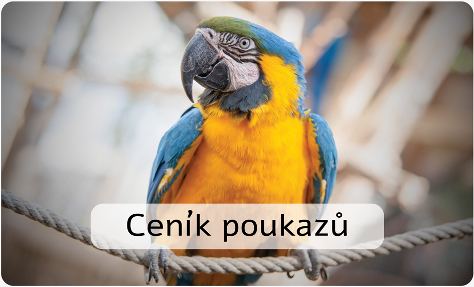 Ceník poukazů