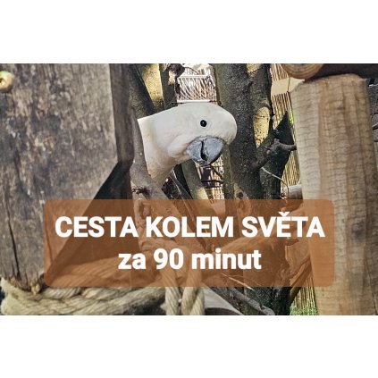 CESTA KOLEM SVĚTA