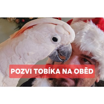 POZVI TOBÍKA NA OBĚD