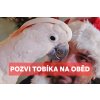 POZVI TOBÍKA NA OBĚD