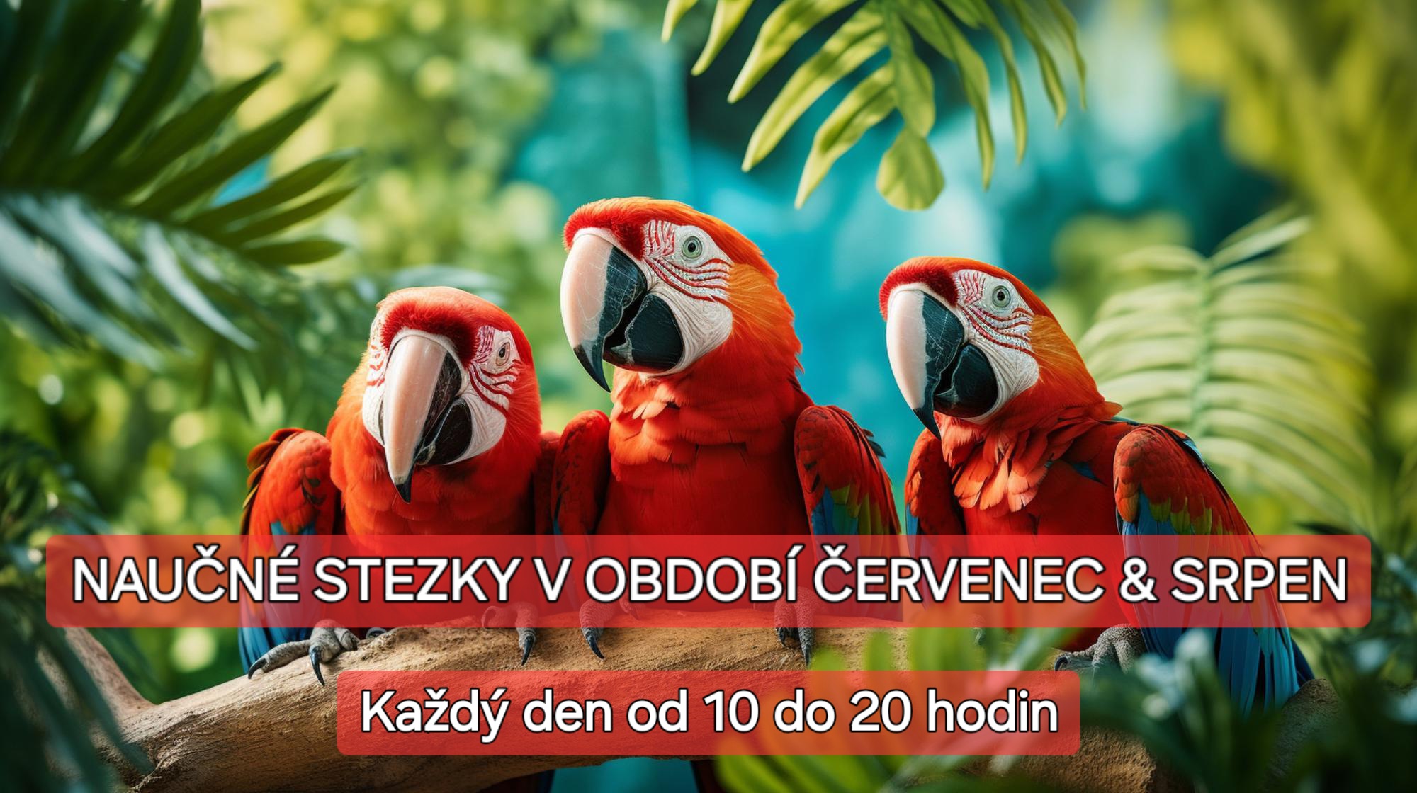 Školní prázdniny výlet Papoušci
